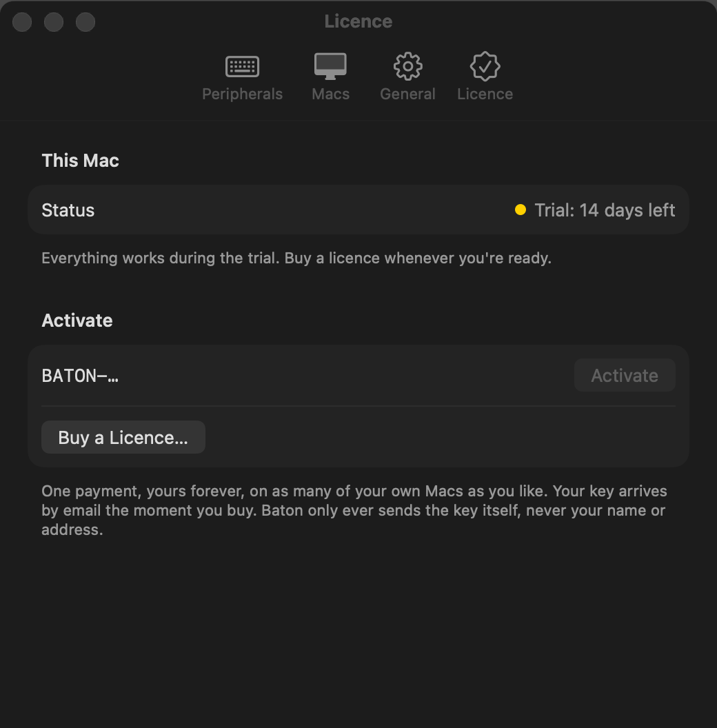 Baton's Licence settings, showing the trial with 14 days left and a field to paste a key
